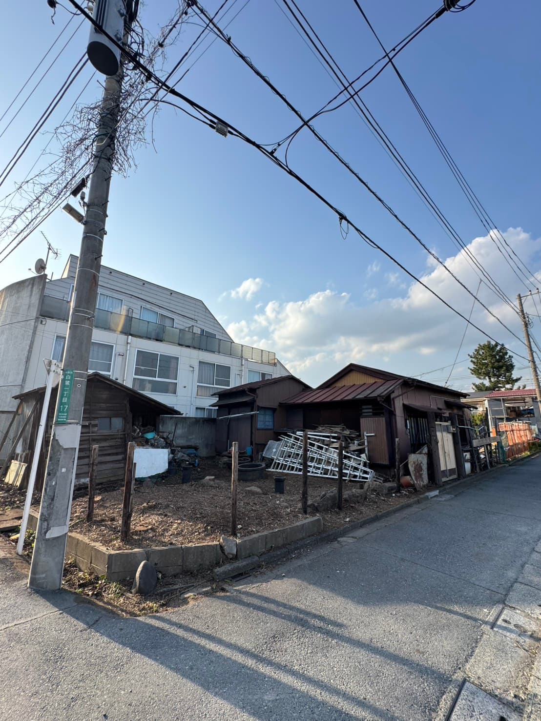 伐採の施工後。撤去後の広がりやすい地面（その2）