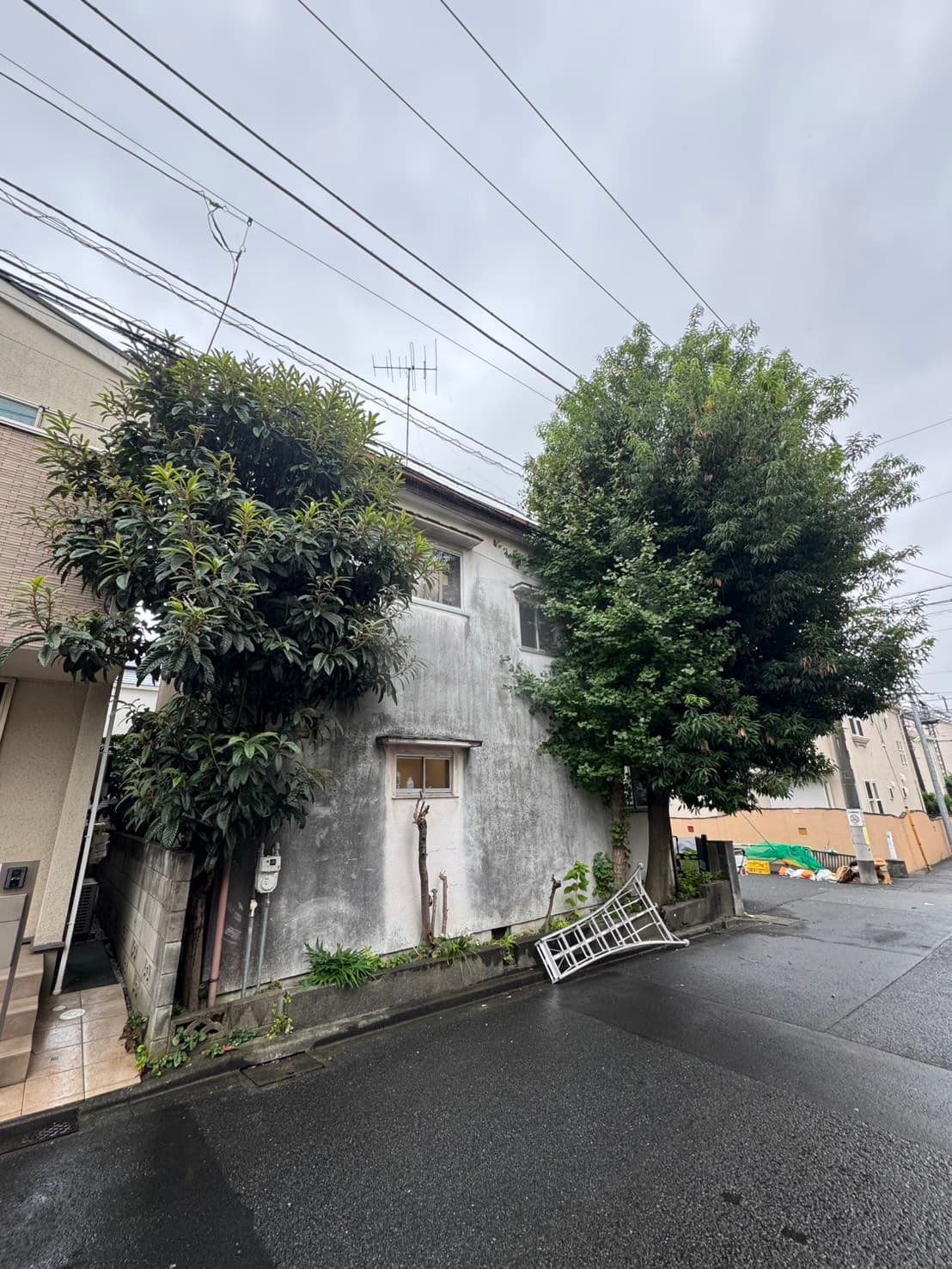 伐採の施工前。樹木や障害となる枝の状態（その6）