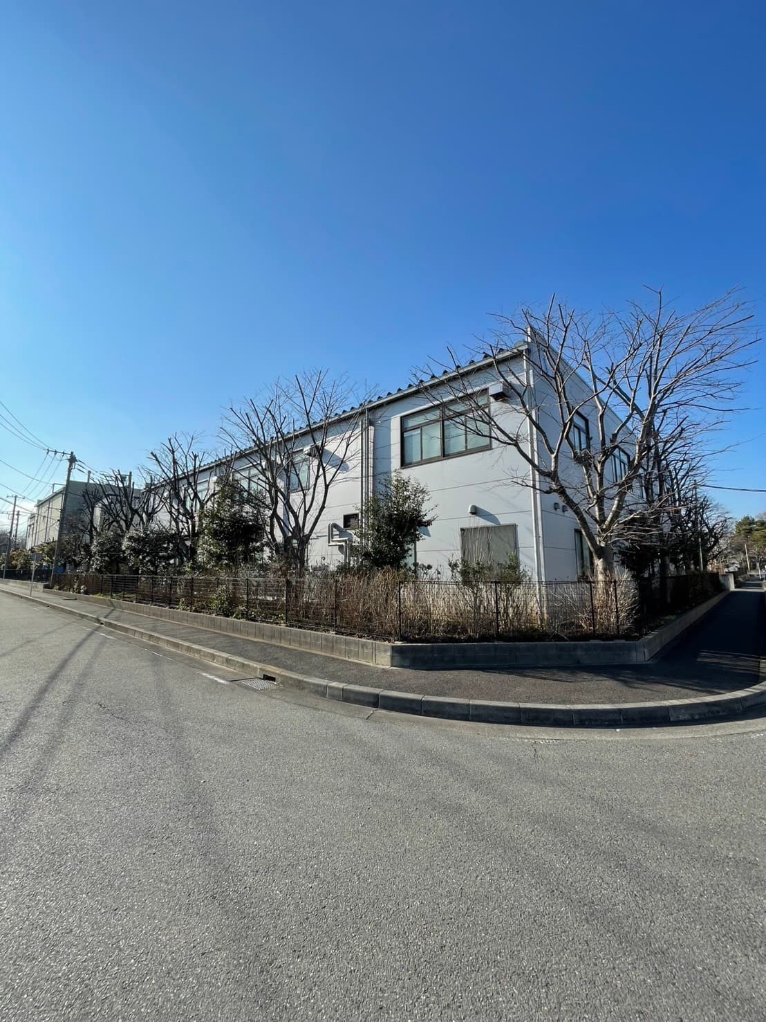 剪定の施工後。透かし・整形後の見た目（その2）
