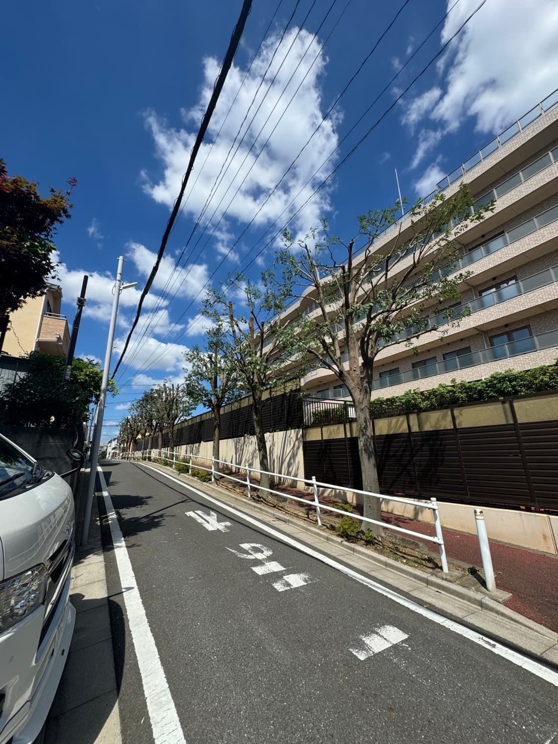 剪定の施工後。枝を整理した直後の様子（その3）