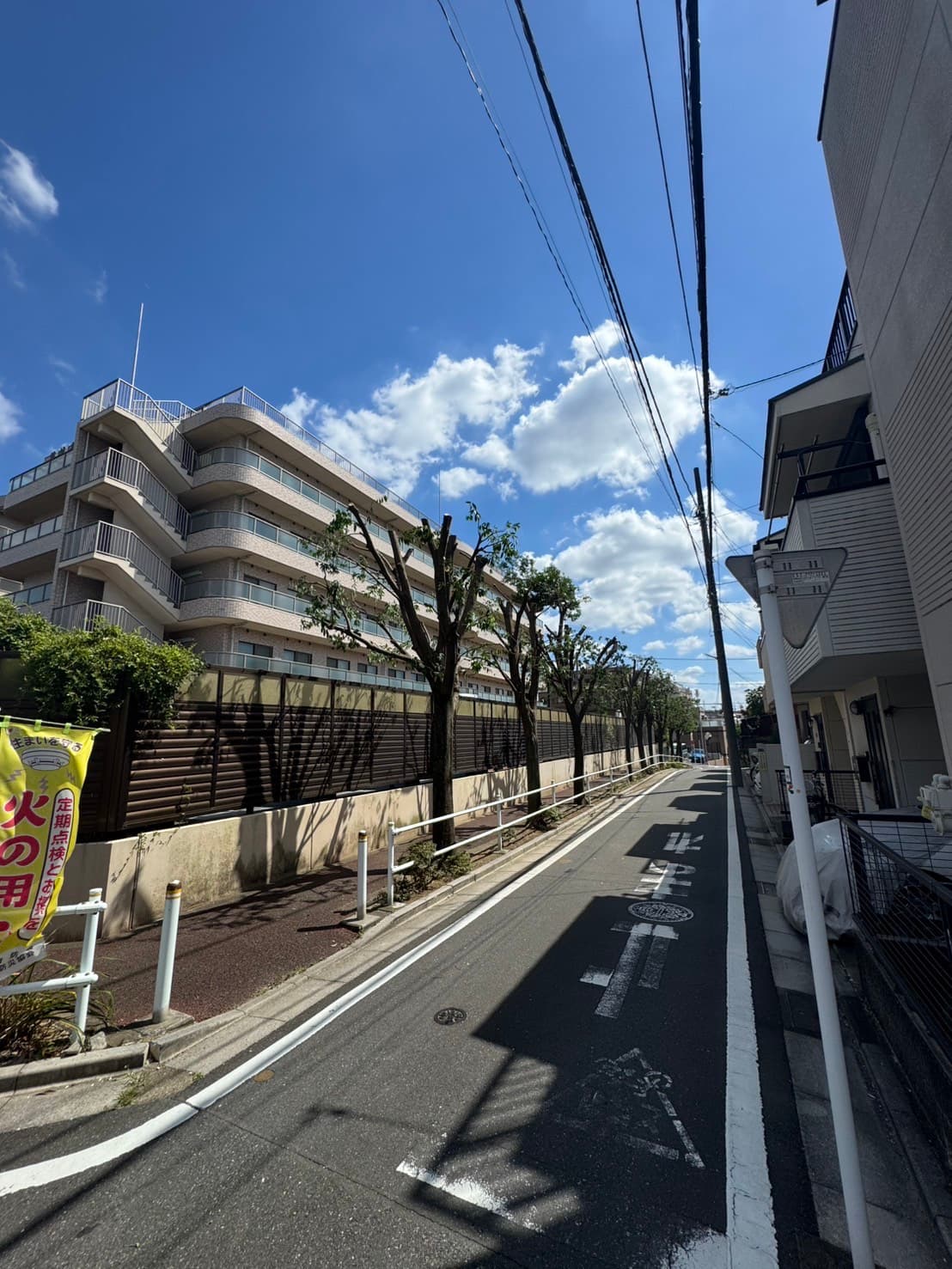 剪定の施工後。風通しが改善された樹姿（その4）
