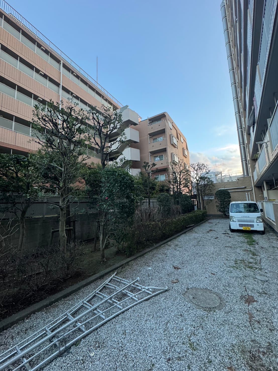 剪定の施工後。ラインを揃え刈り込んだ仕上がり