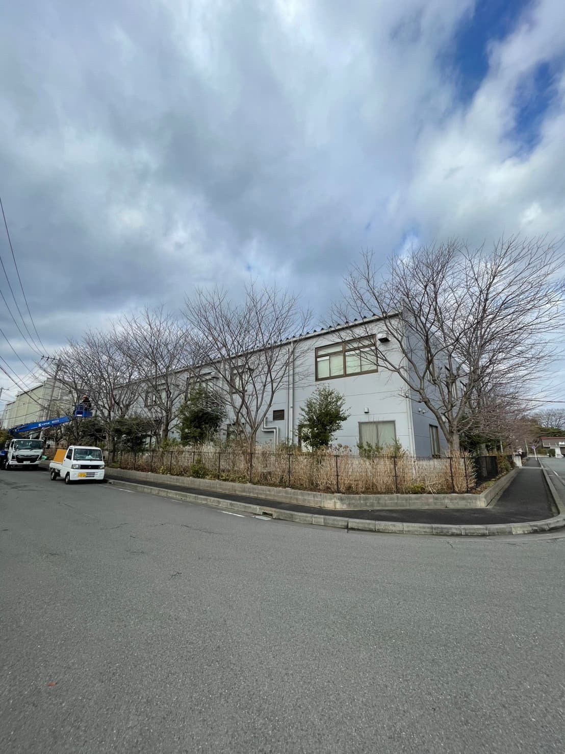 剪定の施工前。冠が厚くなった庭木の状態（その2）
