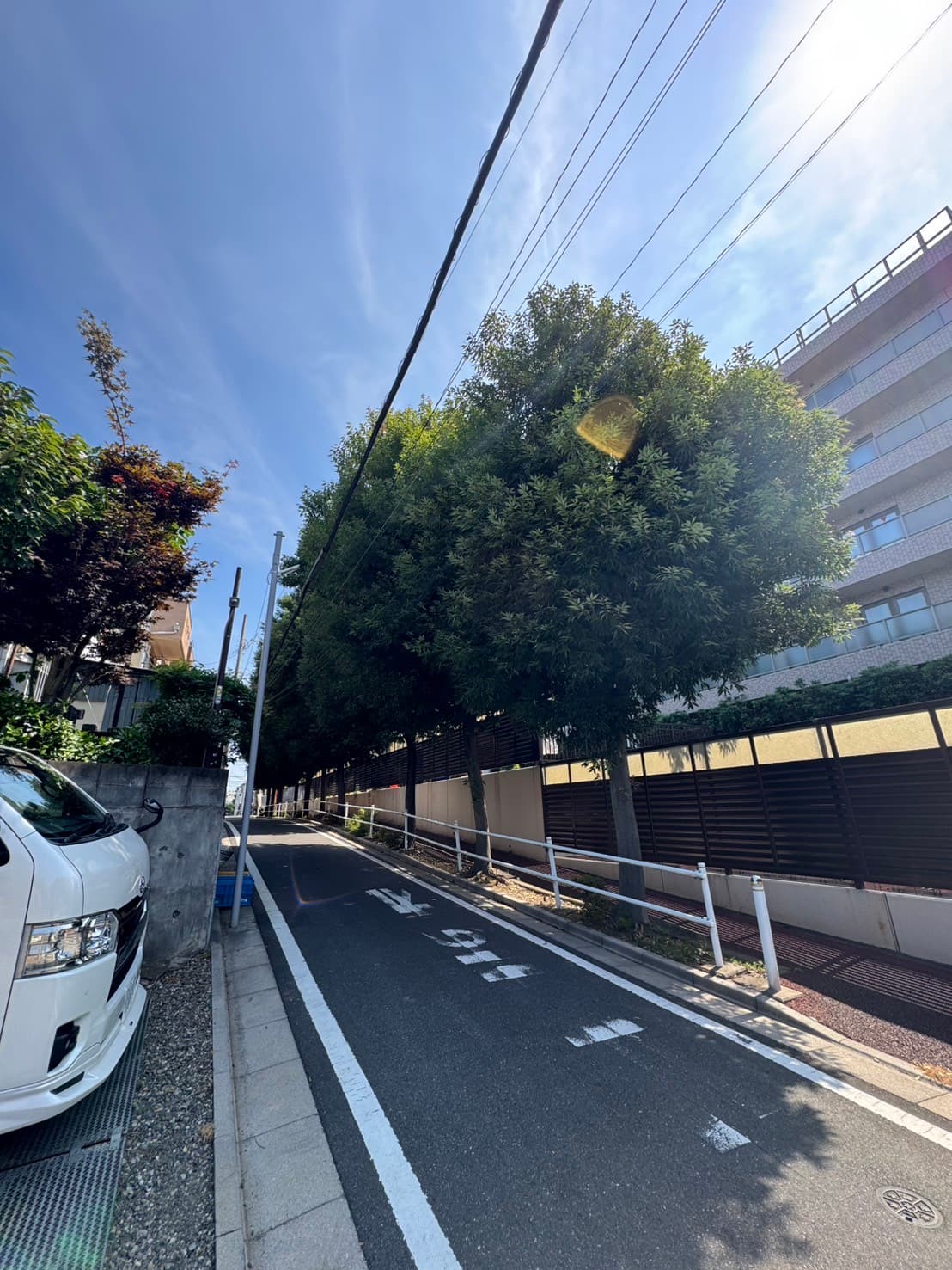 剪定の施工前。電線方向へ枝が迫っている状態（その3）