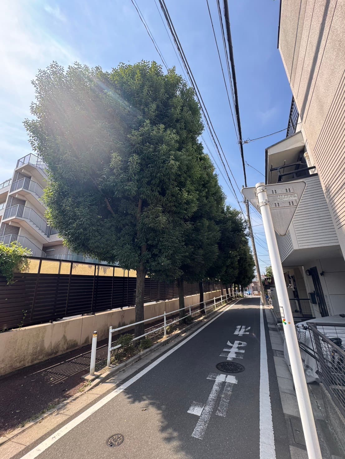 剪定の施工前。内部まで枝が密集した状態（その4）