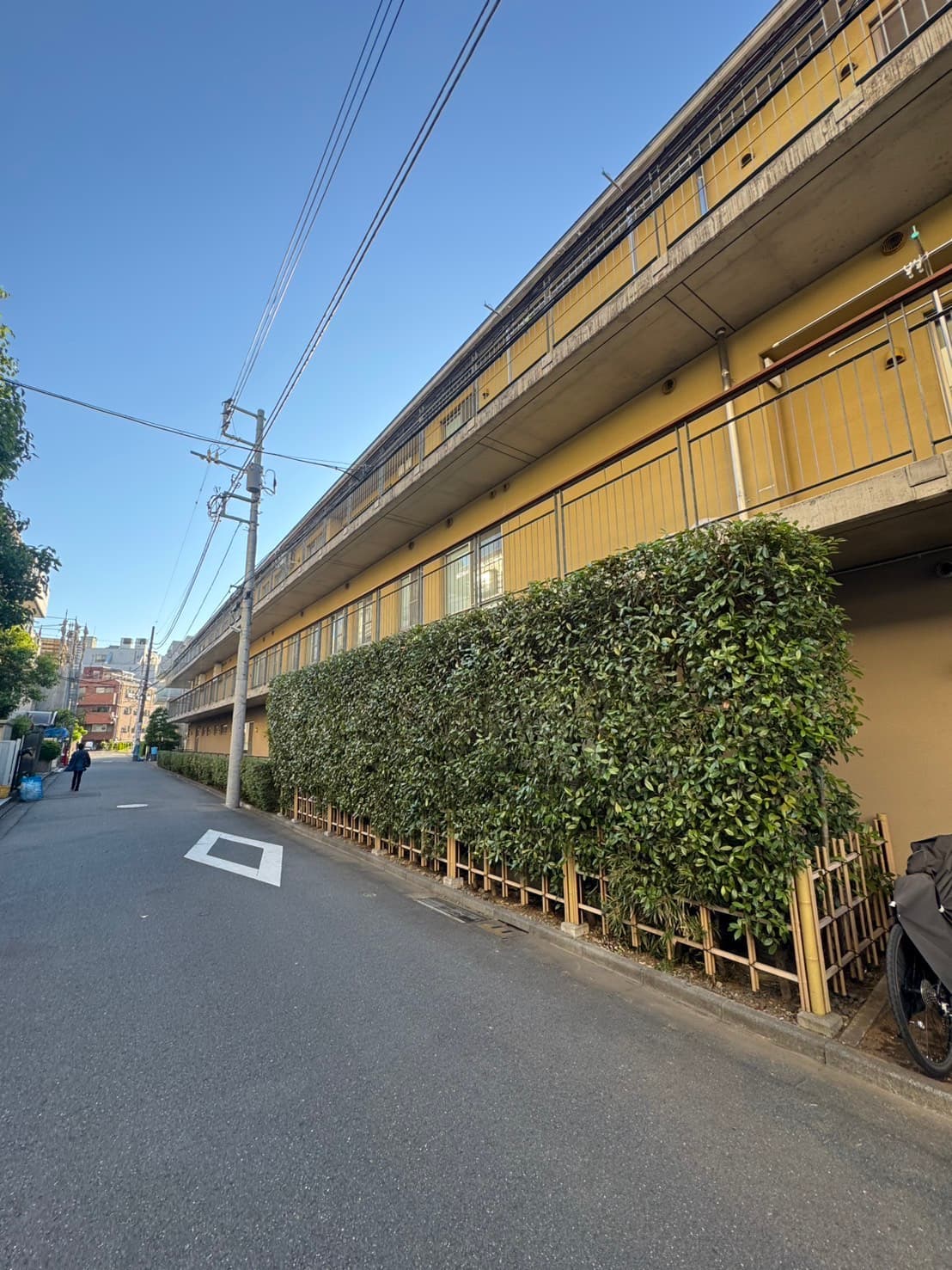 生垣・刈り込みの施工後。まっすぐなラインに整えた大型生垣の仕上がり