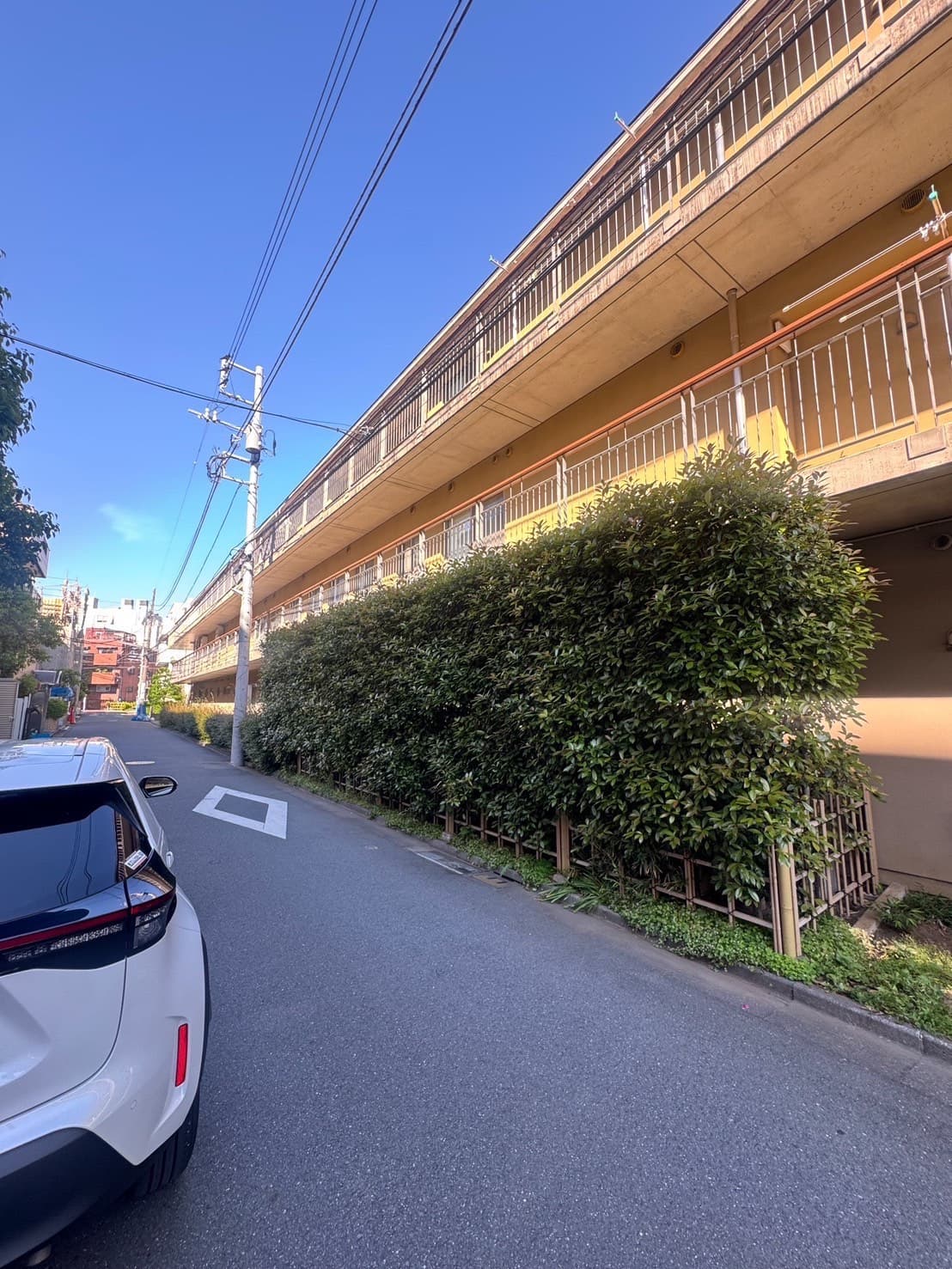 生垣・刈り込みの施工前。道路上にせり出していた高い生垣の様子