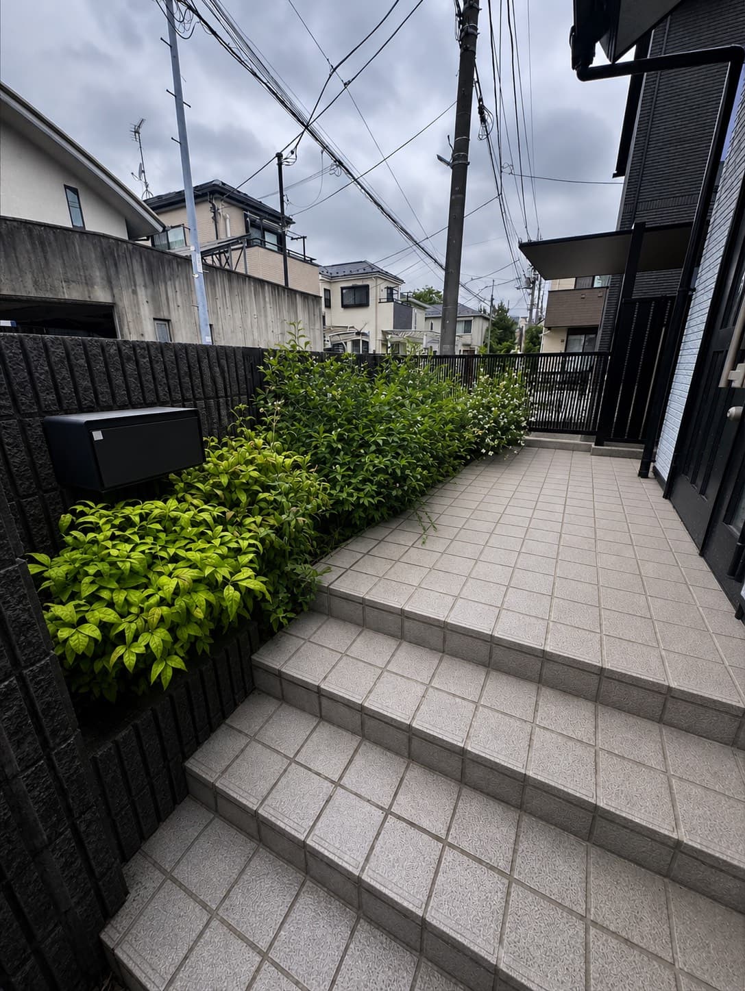 草刈り・除草の施工前。雑草が生い茂ったお庭の様子（その2）