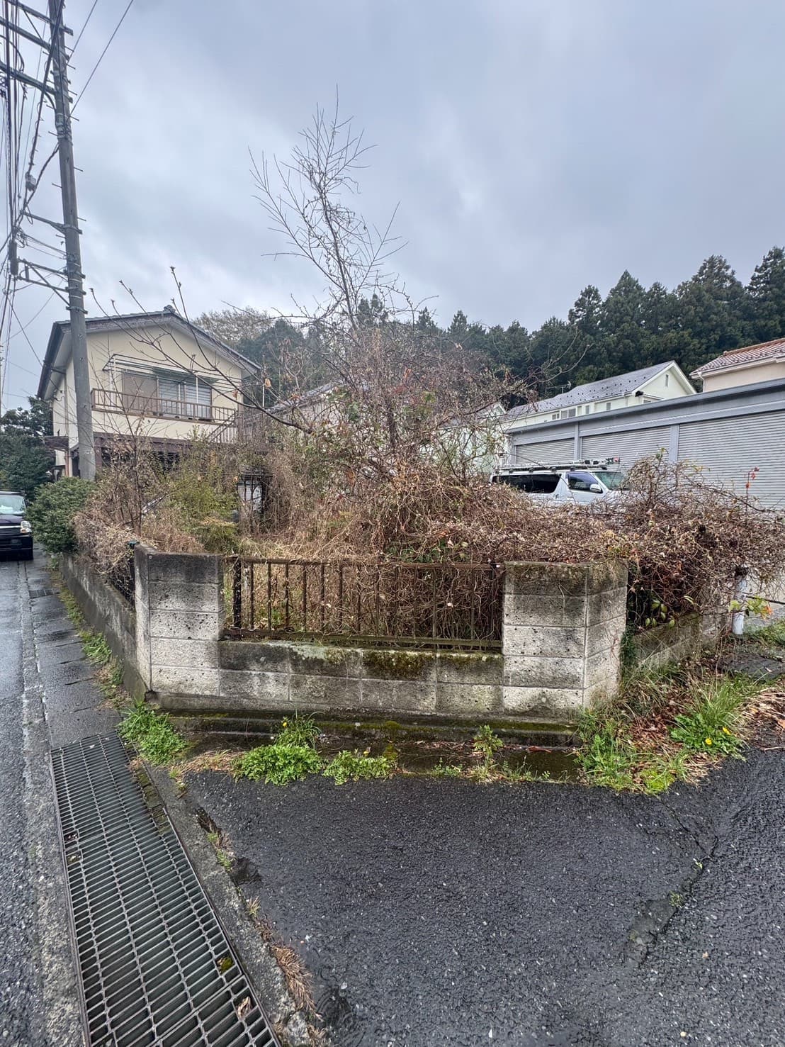 草刈り・除草の施工前。伸びきった雑草の状態（その3）