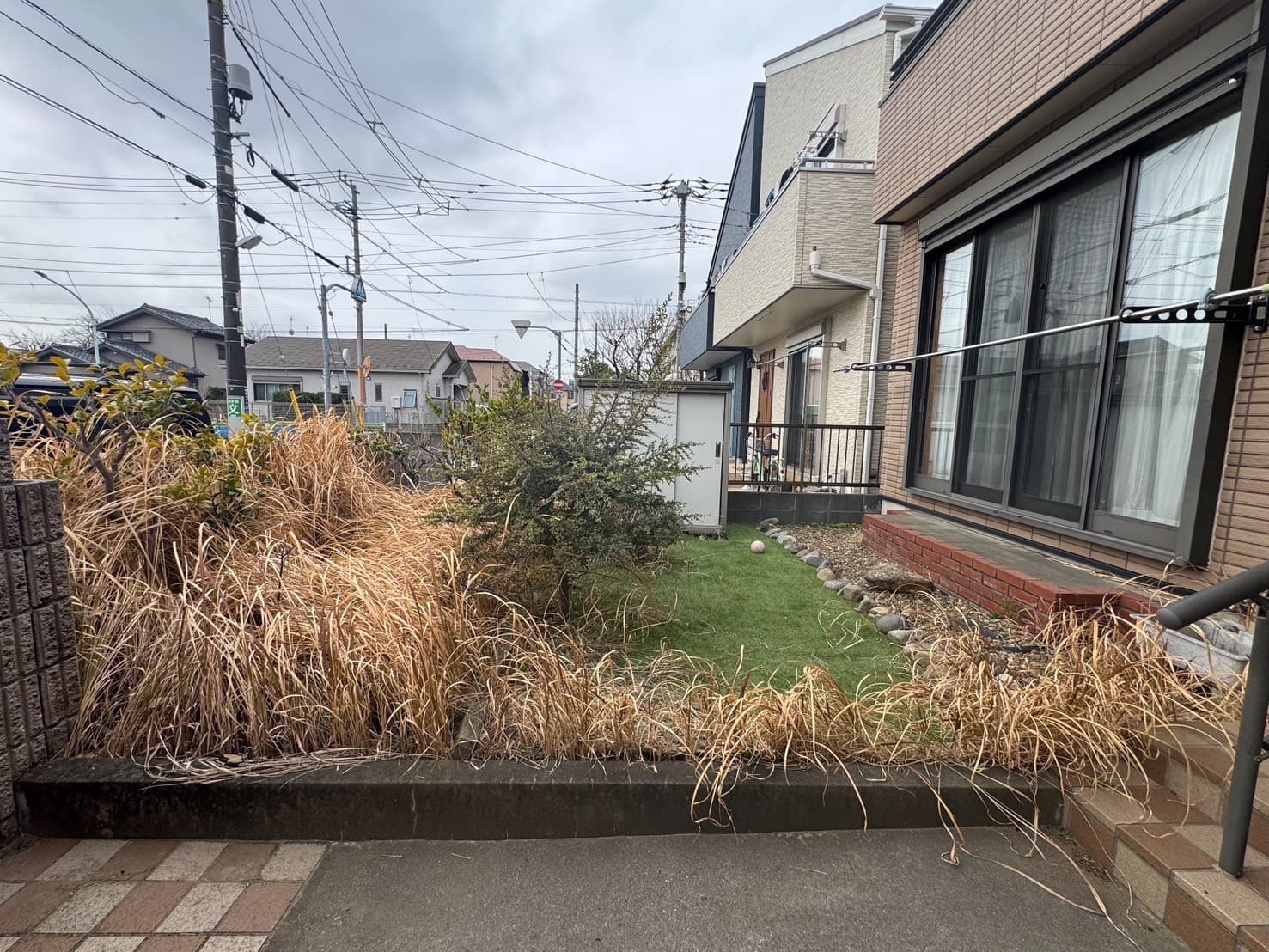 草刈り・除草の施工前。密集した雑草（その1）