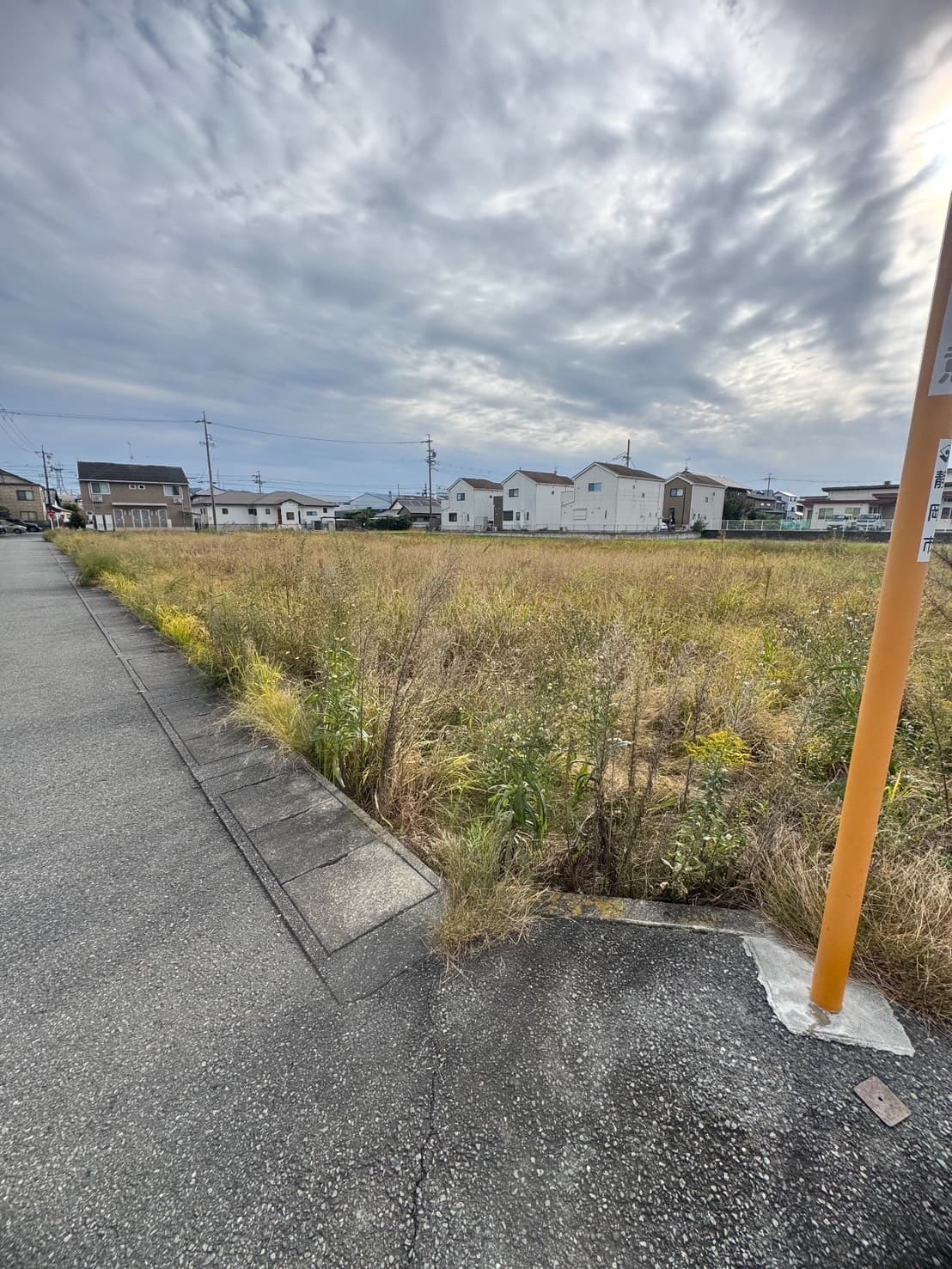 草刈り・除草の施工前。未処理の草地（その7）