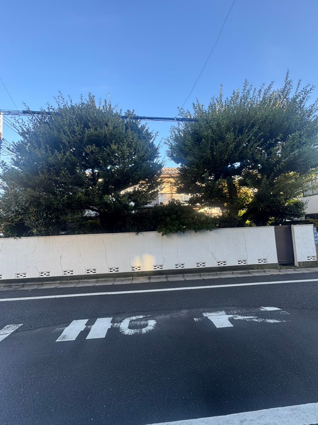 施工実績 - 造園作業の仕上がり