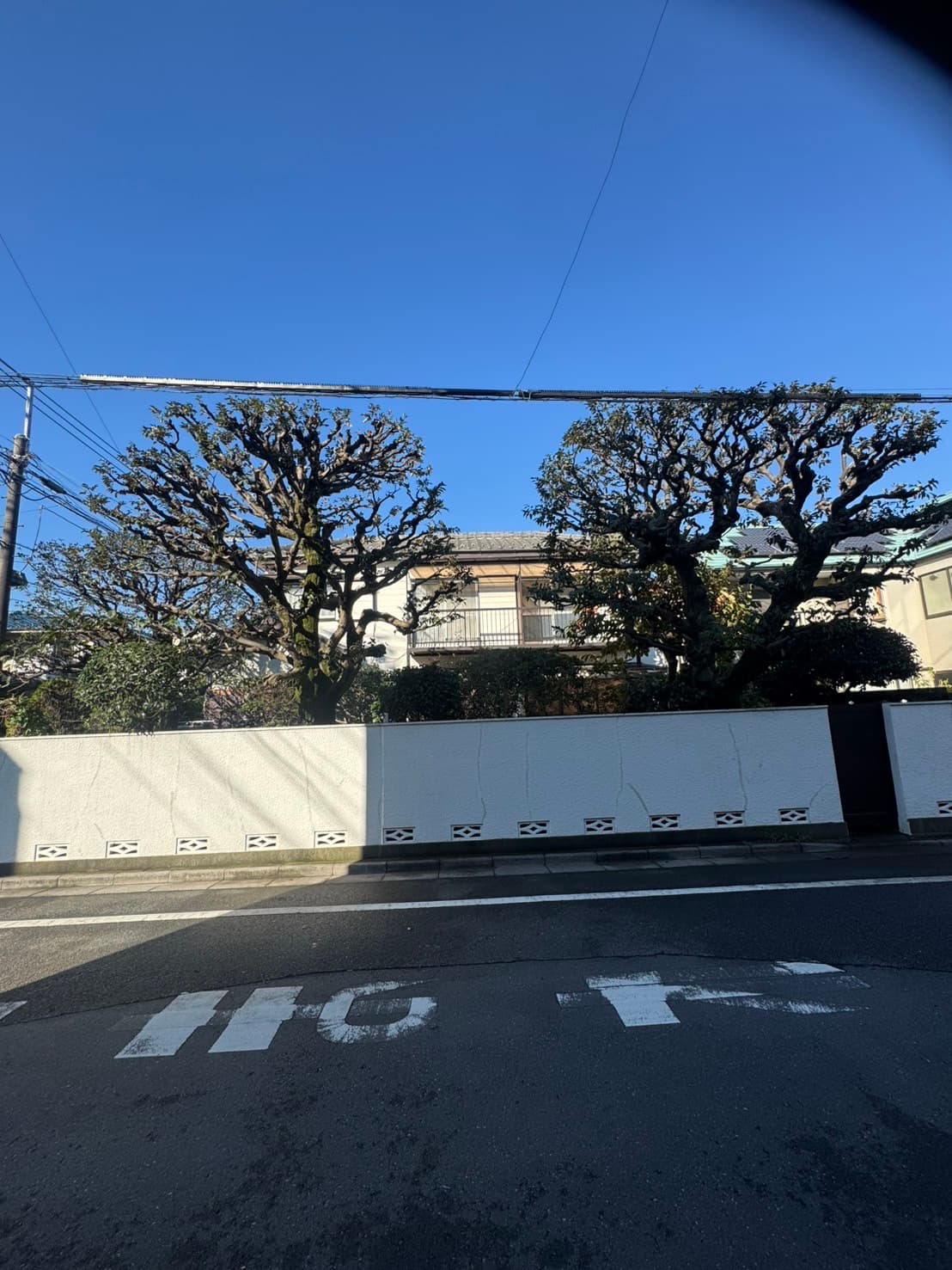 施工実績 - 緑地整備の完成