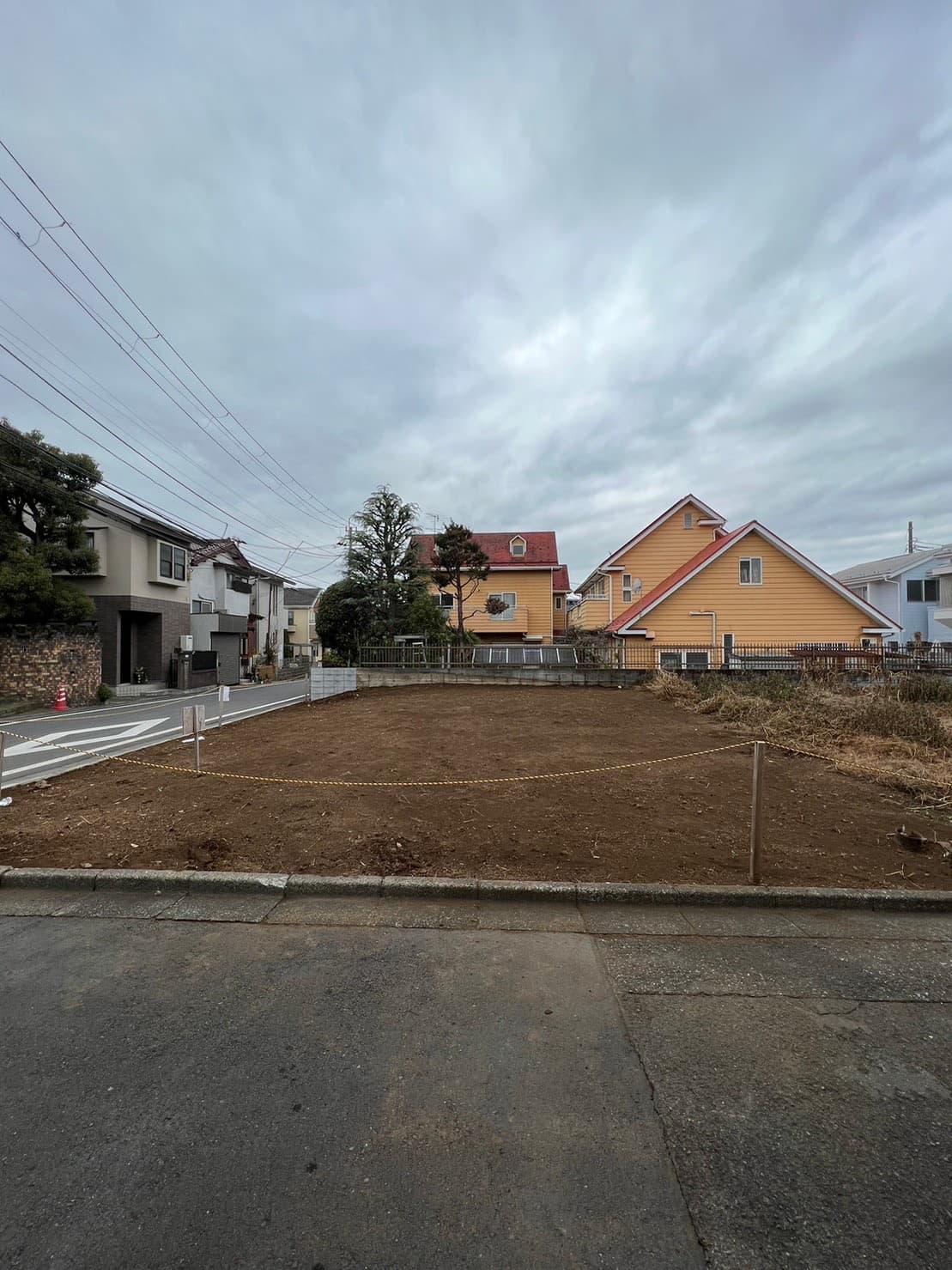 施工実績 - 剪定作業の仕上がり