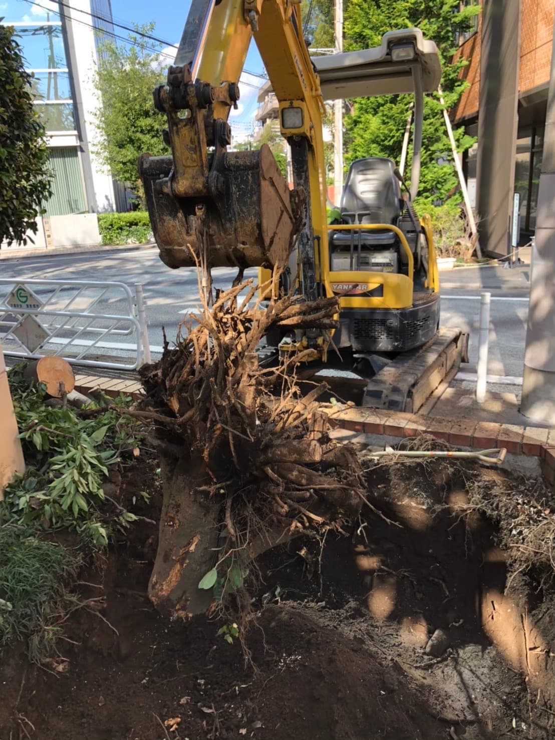 施工実績 - 草刈り・防草の完成